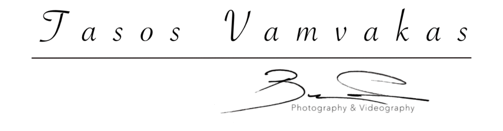 Global Logo